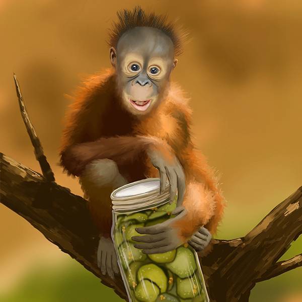 Orangutan | Pickle Jar - #Artmash