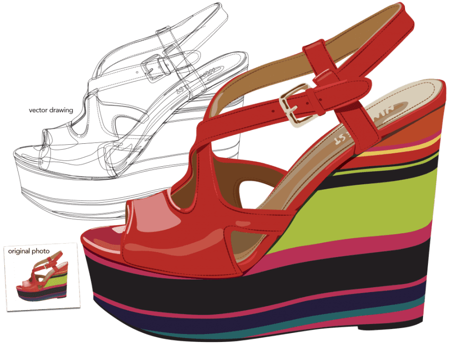Shoe Vector Illustration