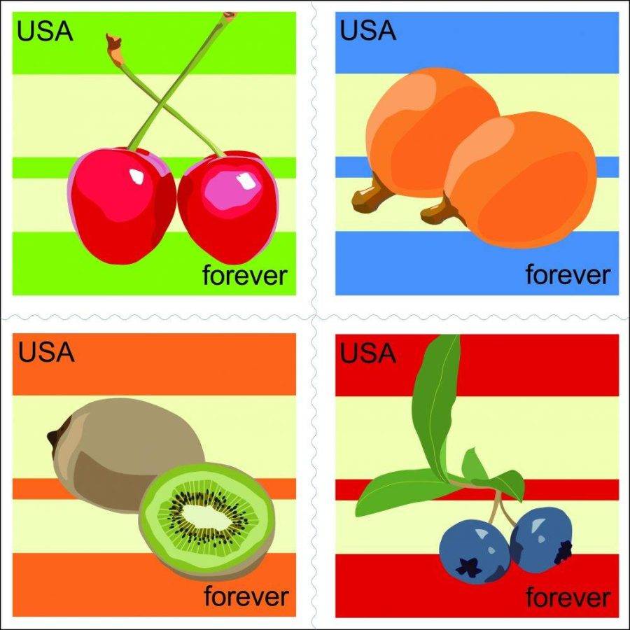 Fruit Stamp Concept
